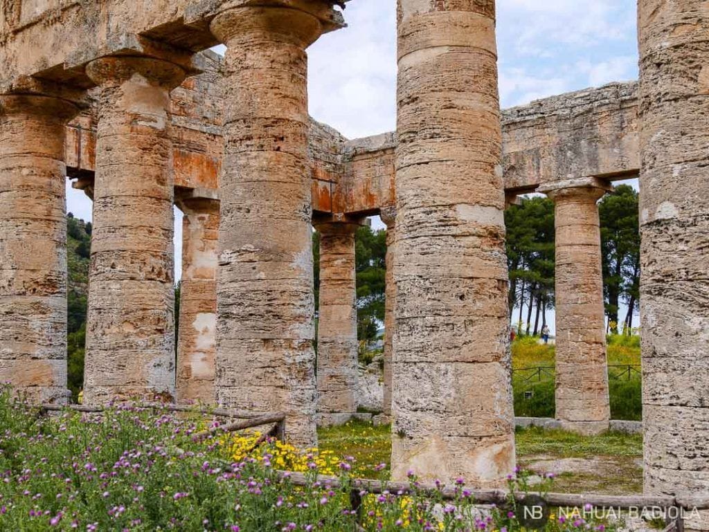 Detalle del templo de Segesta, Sicilia. 